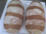 Pão de manteiga