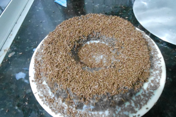 Bolo de Chocolate Rápido