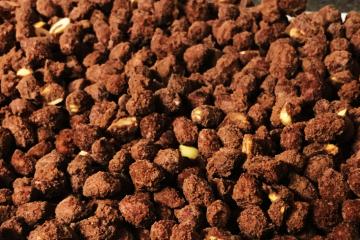 Amendoim praliné