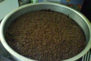 Bolo de chocolate simples e fofo