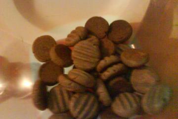 Bolachinhas de chocolate