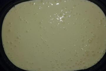 Mousse de Cupuaçu