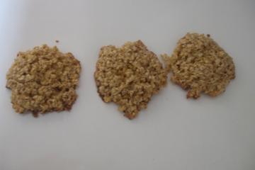 Biscoitinhos de Aveia