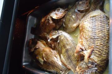 Peixe assado