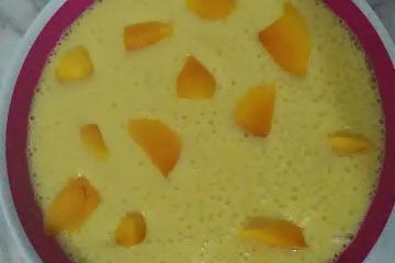 Mousse de manga