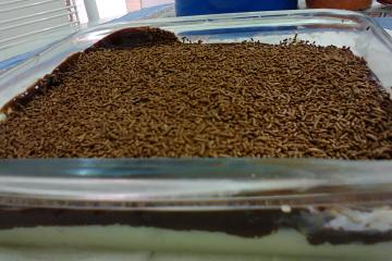 Torta de prestígio
