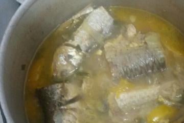 Caldo de peixe