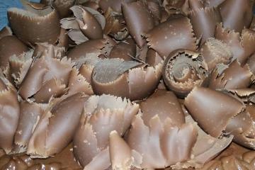 Bolo mousse de chocolate