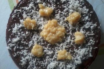 Bolo simples de chocolate com coco