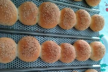 Pão da Hambúrguer  Receitas da Formiguinha