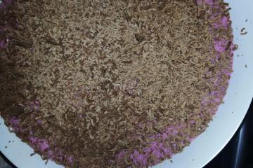 Mousse de tang