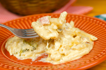 Macarrão ao leite gratinado