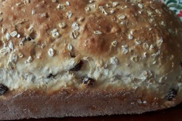 Pão de aveia, quinoa e uvas passas