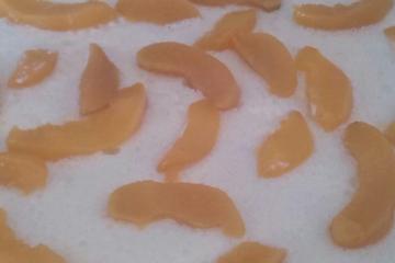 Mousse de pêssego