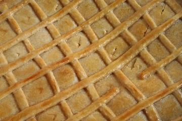 Torta salgada de frango