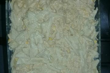 Macarrão penne com frango e molho especial