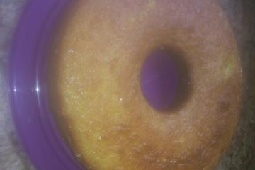 Bolo de laranja molhadinho