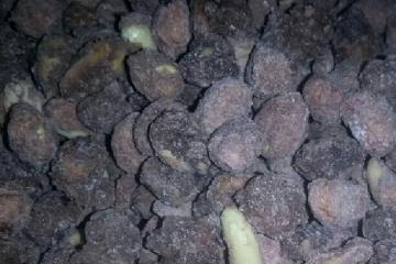 Amendoim praliné