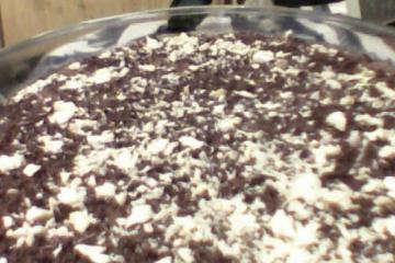Torta de Bolacha