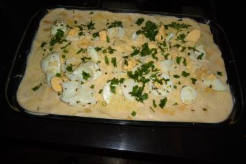 macarrão  italiano á bolonhesa
