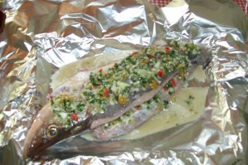 Robalo especial