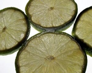 Pudim especial de limão