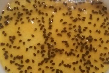 A mousse de maracujá
