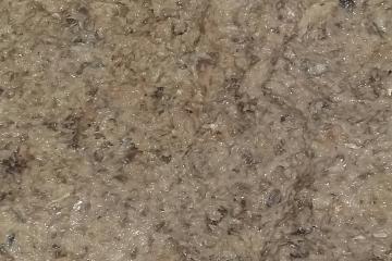 Patê de sardinha em lata