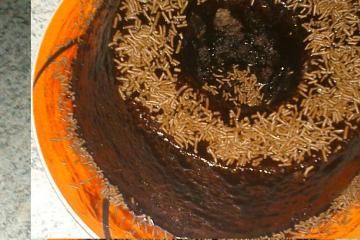 Bolo de chocolate fácil