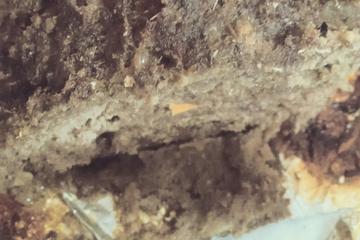 Carne moída com creme de cebola