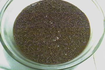 Mousse de brigadeiro