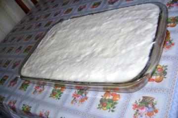 Galega Doida