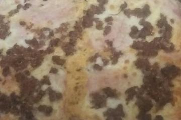 Lasanha com massa batida no liquidificador