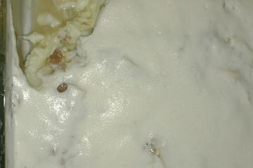 Creme Gelado (maçã ou pêssego)