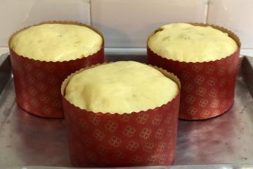 Panetone