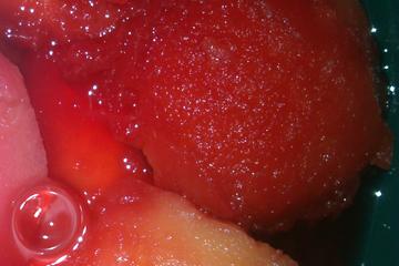 Maçã com gelatina