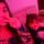 Avatar de Juliah Pinheiro