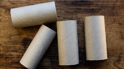 Não jogue fora os rolos de papel higiênico: eles podem ser muito úteis no jardim e eu vou te mostrar como