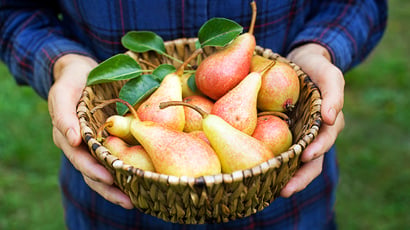 Raúl Cárdaba, vendedor de frutas: “Para encontrar uma boa pera, procure aquelas que são mais compridas do que largas, porque tendem a ser mais doces.”