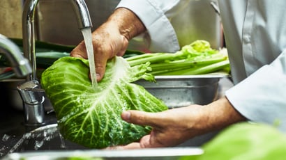 Alface: o que você deve observar antes de adicioná-la à sua salada!