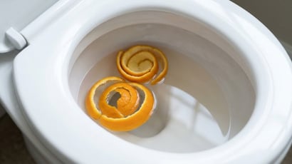 Com quantos anos você descobriu que deve jogar cascas de laranja no vaso sanitário uma vez por semana?