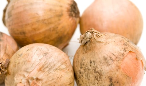 O que é o pó preto que aparece na cebola? Saiba o que fazer quando encontrar isso no alimento