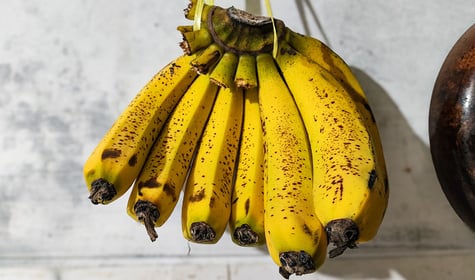 É desse jeito que você deve armazenar as bananas se quiser consumi-las durante o mês e não desperdiçar