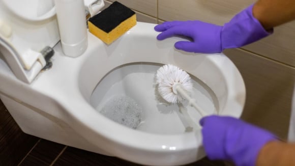 Limpar vaso sanitário (Créditos: Canva)