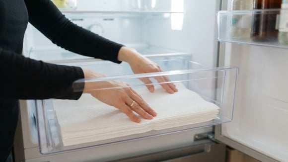 Colocar papel-toalha na gaveta de legumes da geladeira: TudoGostoso explica para que serve o truque e se realmente funciona