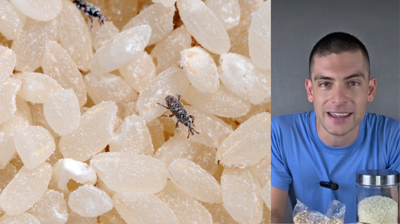 Tomás Gill, engenheiro de alimentos: “O segredo para evitar gorgulhos é armazenar leguminosas ou farinhas no congelador por 24 horas.”
