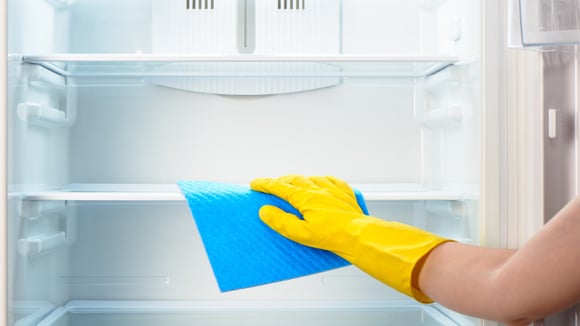 O melhor jeito de limpar borracha da geladeira: com essa misturinha caseira fácil não tem erro e você higieniza rapidinho