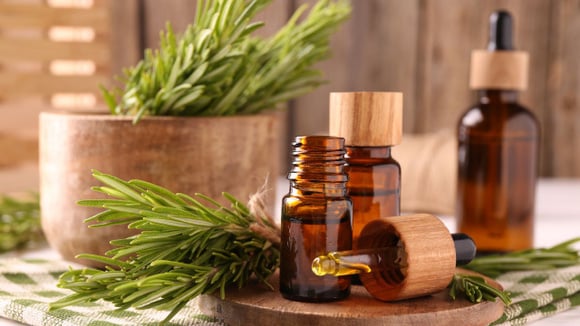A preparação caseira do óleo de alecrim é muito simples, mas exige cuidados com a armazenagem (Créditos: Shutterstock)