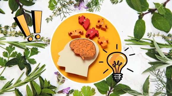 Se você tem memória fraca, você precisa consumir essas ervas: elas estimulam o cérebro, são deliciosas e fáceis de acrescentar ao cardápio