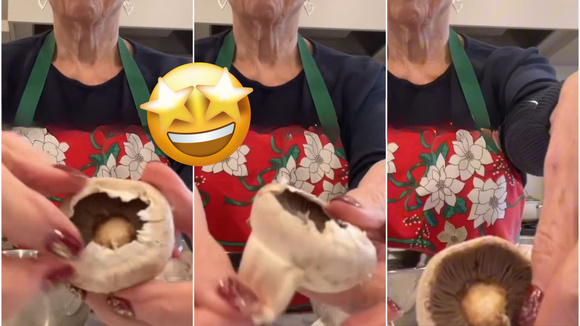 Nunca lave cogumelos frescos! O jeito certo de limpá-los é dessa forma, muito mais prático!